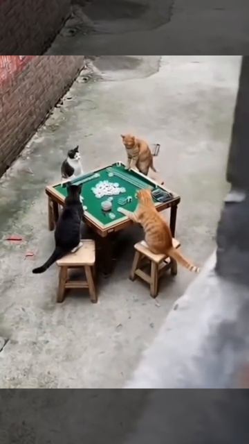 Игра