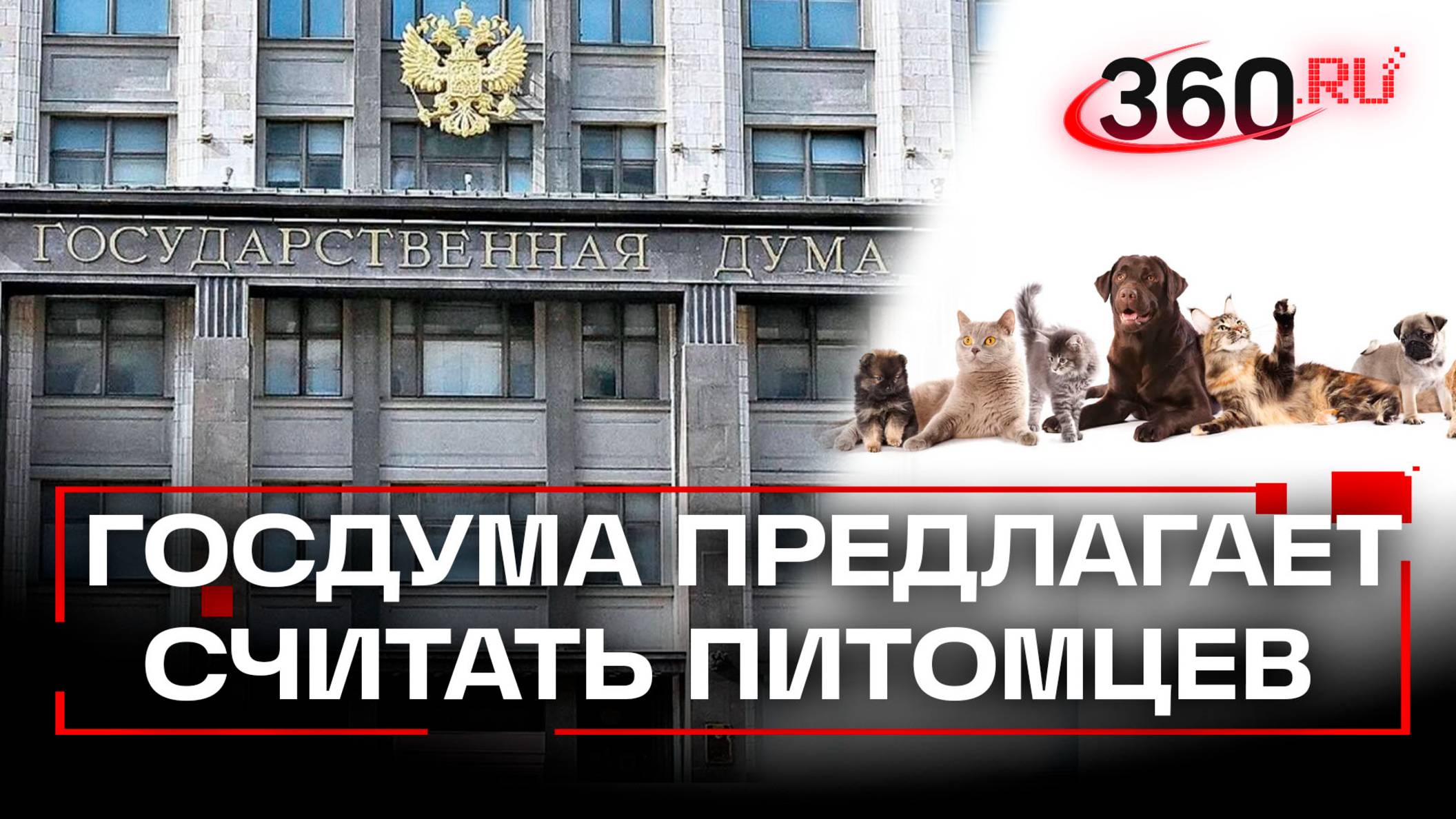 «Каждой твари – не по паре» – депутаты поставят на счетчик кошек и собак в квартирах