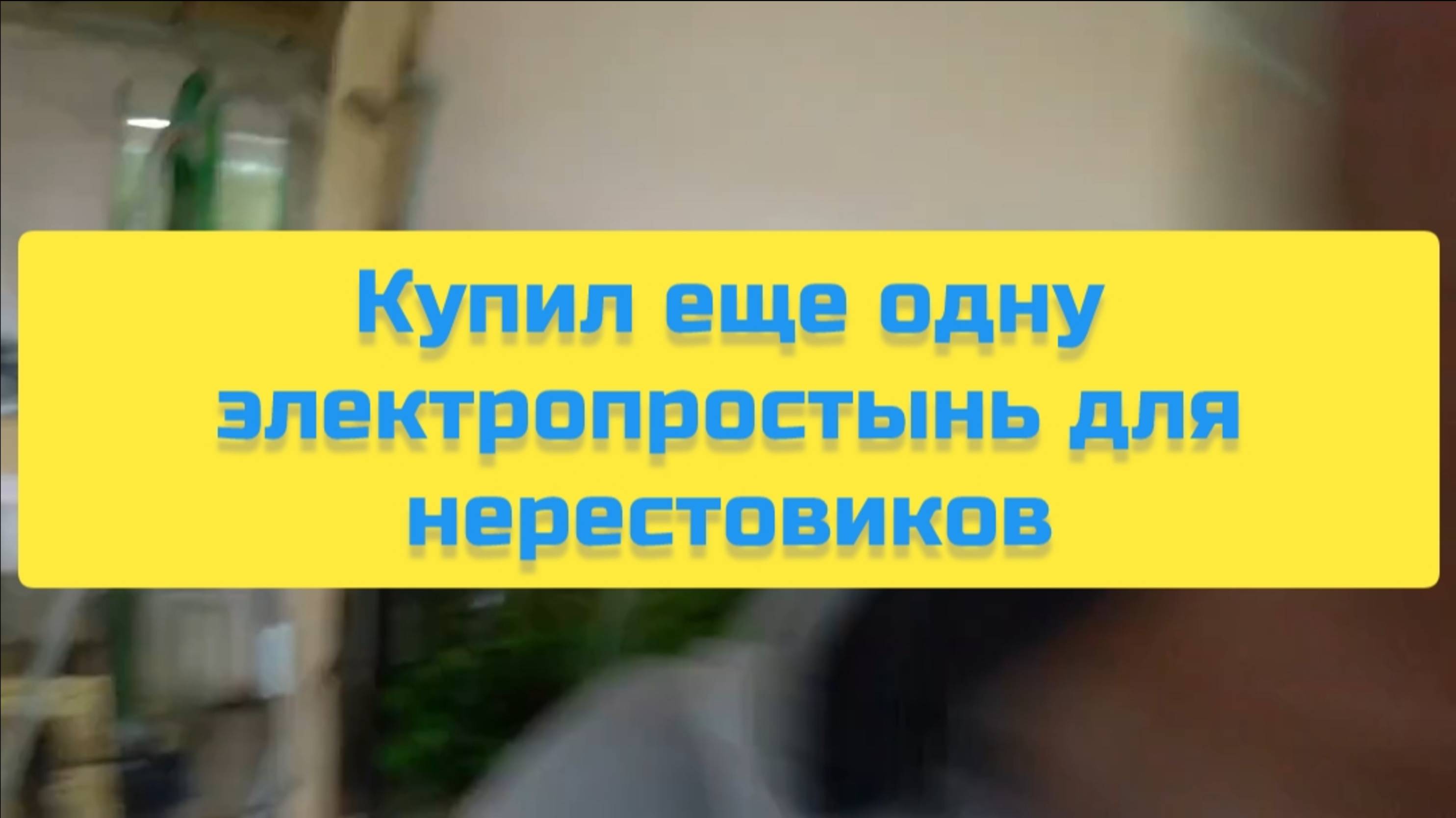КУПИЛ ЕЩЁ ОДНУ ЭЛЕКТРО ПРОСТЫНЬ ДЛЯ НЕРЕСТОВИКОВ