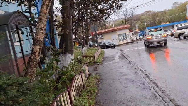 9.10.25.Утро встретило нас со снегом.