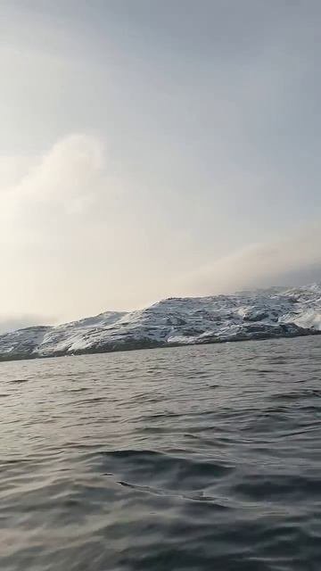 Промысел и дегустация ежа зеленого, морского! Лиинахамари.