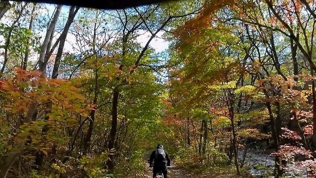 Лозовый Ключь