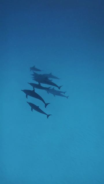 Rah Gili Maldives