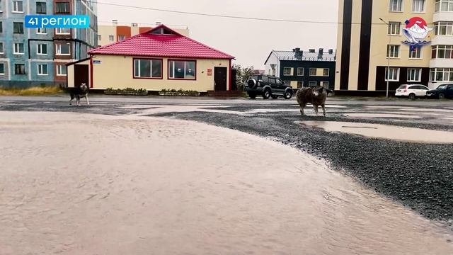 НЕПОГОДА НАКРЫЛА УСТЬ-КАМЧАТСКИЙ ОКРУГ • НОВОСТИ КАМЧАТКИ