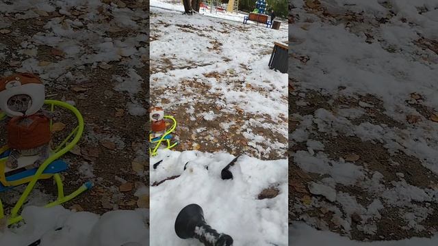 гуляю с басиками часть первая.