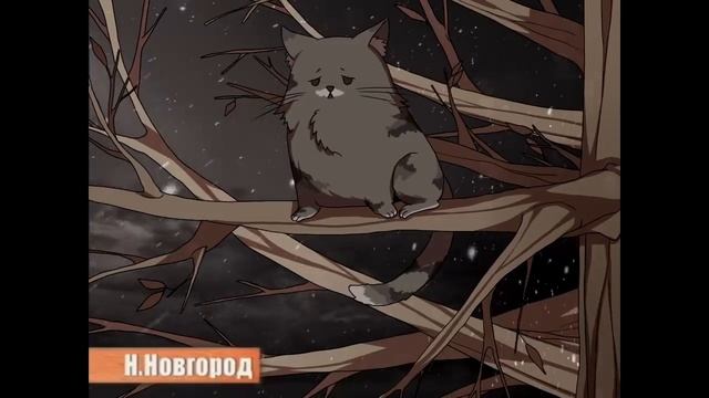 Enjoykin — Зато я спас кота (feat. Ник Черников)