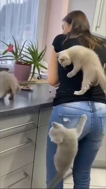 Вижу цель - не вижу препятствий 😂