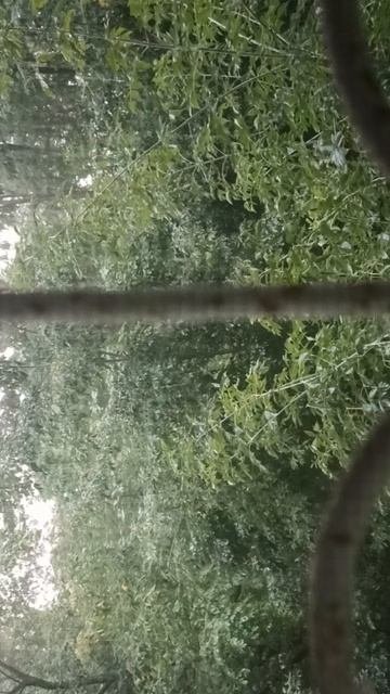 1000006208.mp4