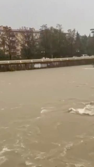 В Сочи +14°

Ощущается как +13°
Вчера в это время +18°
Дождь сегодня не прекратится