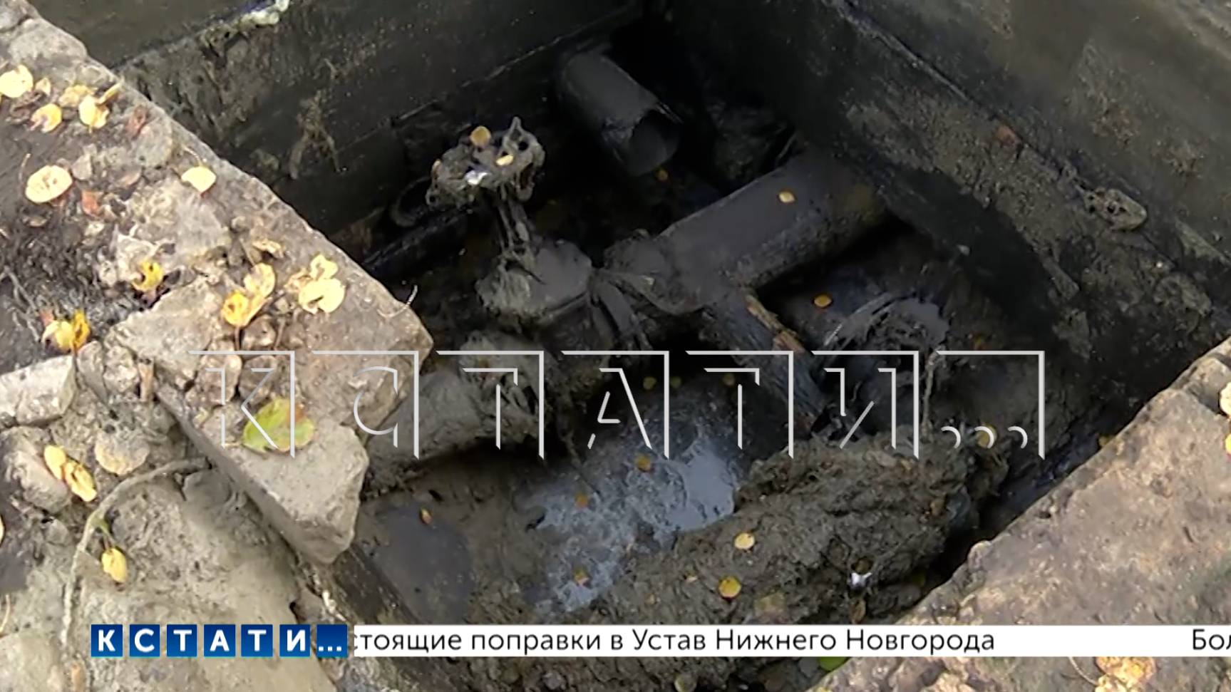 Где-то прибыло, где-то убыло — Балахинскую ЦРБ затопило фекалиями, а в канализации завелись раки