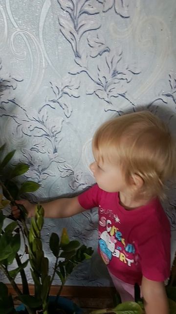 прятки