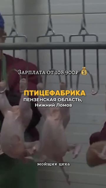 Заполняй анкету в шапке профиля!