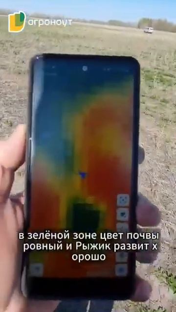 Пересолили #farming #агротехнологии #сельскоехозяйство #фермерство #ферма #соль