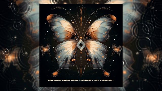 Idin Gorji Arash Raouf - Like a Midnight Journey of the Soul