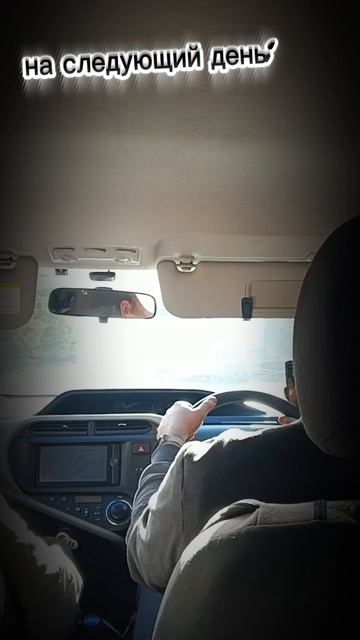 #альпака парк