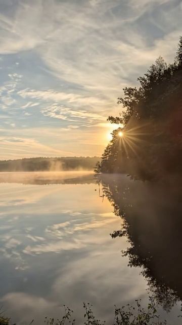 За особой атмосферой ждем Вас в гости у нас в Сафари-парке