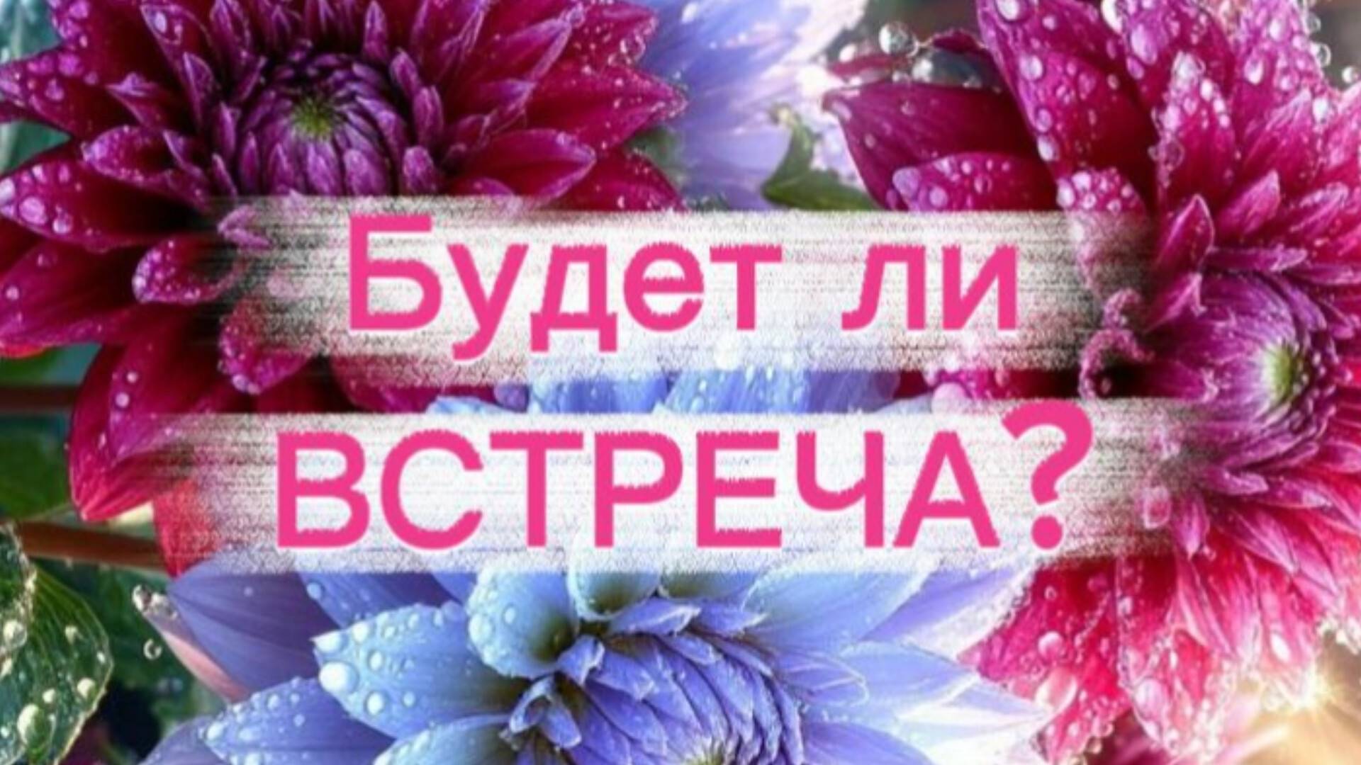 Будет ли встреча? #таро #тарорасклад