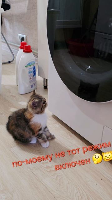Любопытная Фрося😍