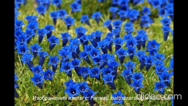 Clideo_editor_848a2546095340f6860633ffec6e501c