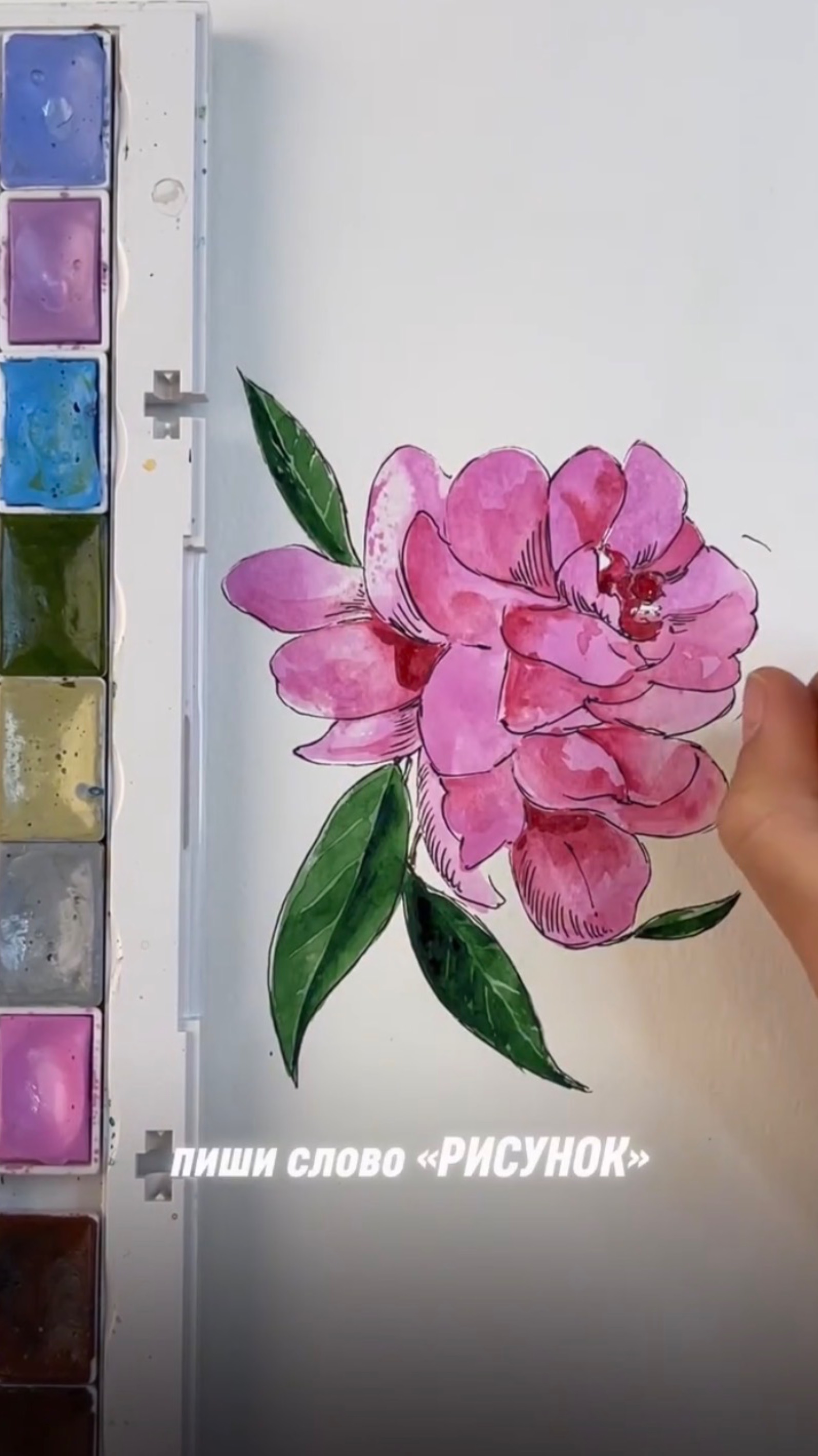 Как легко нарисовать пион?🌸 Жмите выше, чтобы получить подарок 🎁
