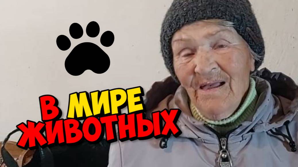 МОЖЕТ ПОРА ОСТАНОВИТСЯ В ПОГОЛОВЬЕ