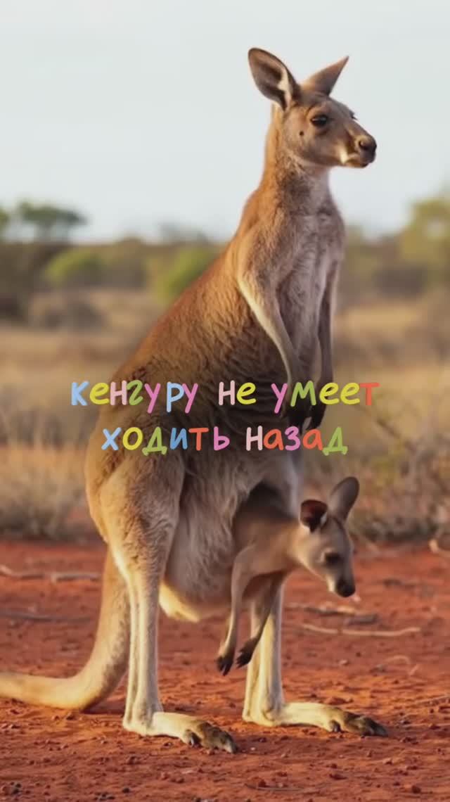 Знал об этом факте? 😲😲