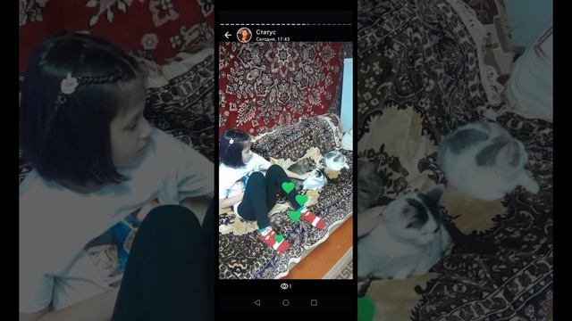 Фильм котята рафая и мама кошка. Часть 1