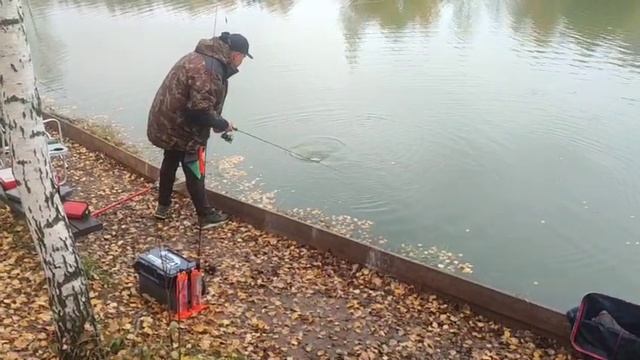 WhatsApp Video 2025-10-10 At 10.04.58