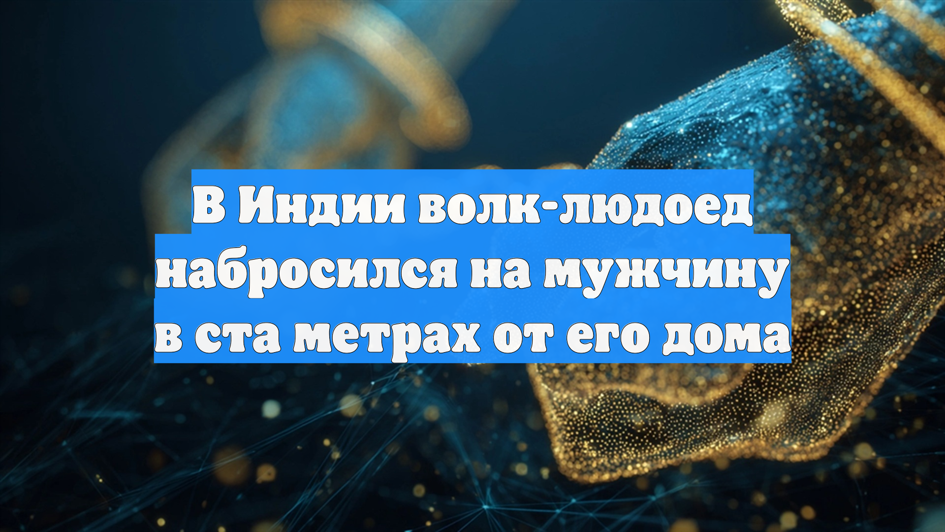 В Индии волк-людоед набросился на мужчину в ста метрах от его дома