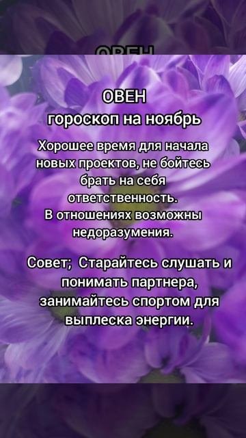 ОВНЫ гороскоп на ноябрь 2025