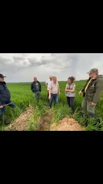 А если на поле песок? Ссылка на ТГ канал в закрепе комментарий #farming #фермерство #агротехнологии