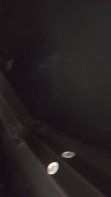 Завтра опять ДЕРЕВНЯ