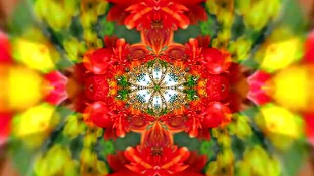 Футажи! Футаж Осенняя волшебная сказка 15! Осеннее волшебство!