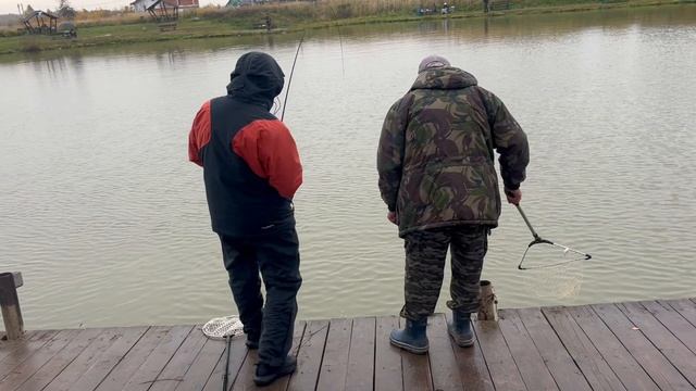 Поимка карпа на блесну, сход крупного осетра