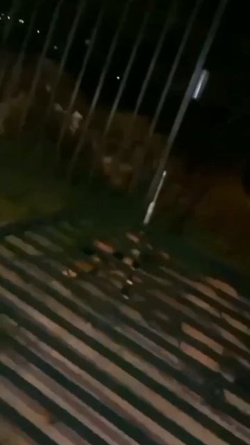 Прикол