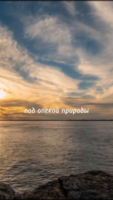 Владимир Бабенко — «Зеленый, белый, синий». Песня-легенда о флаге Хабаровского края.