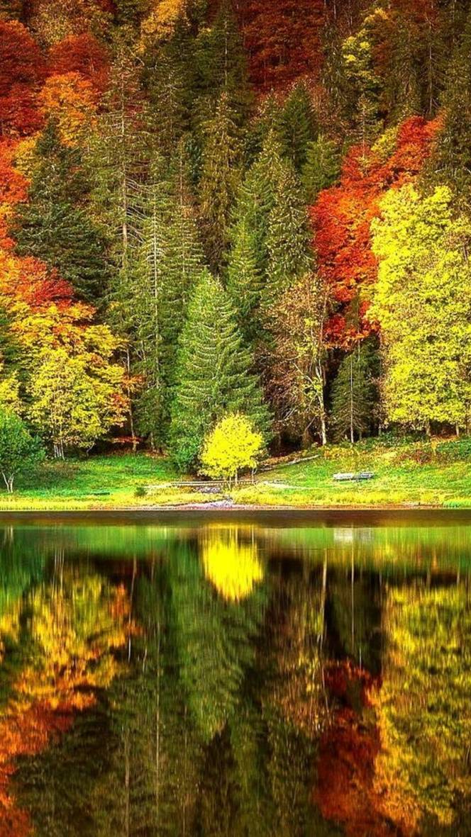 ⭐ ПРОГНОЗ НА НЕДЕЛЮ С 06.10.2025 ПО 12.10.2025 ⭐ Контакты Floransia@yandex.ru
