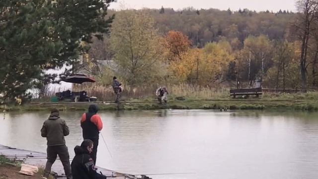 ещё одна форель в подсаке