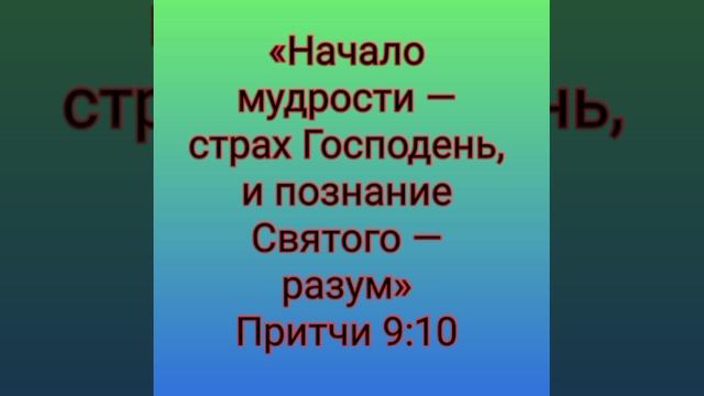 YouCut_20251010_061623950.mp4
