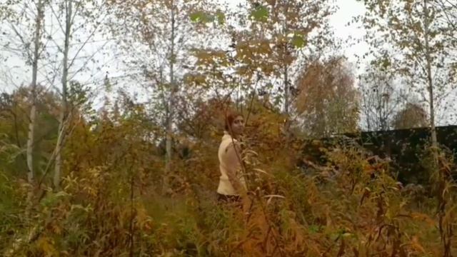 Осень-Лиса.mp4