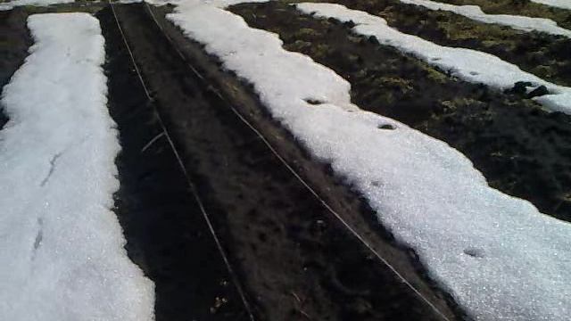 № 1.Экскурсия по огороду. 02.04.12
