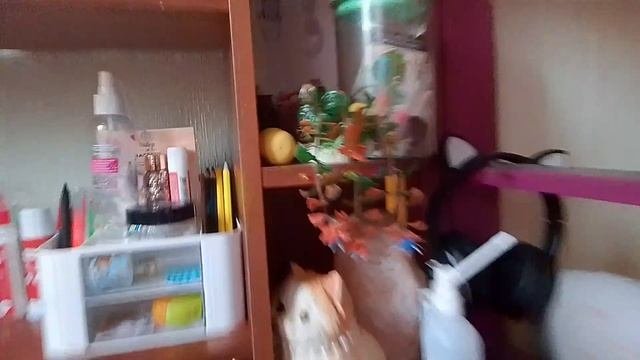 уборка и расхламление моего стола (надеюсь видео прикольное)