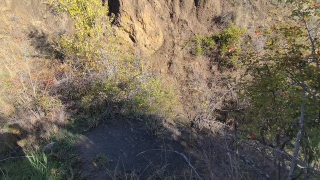 Осенний Лесосад в Крыму!