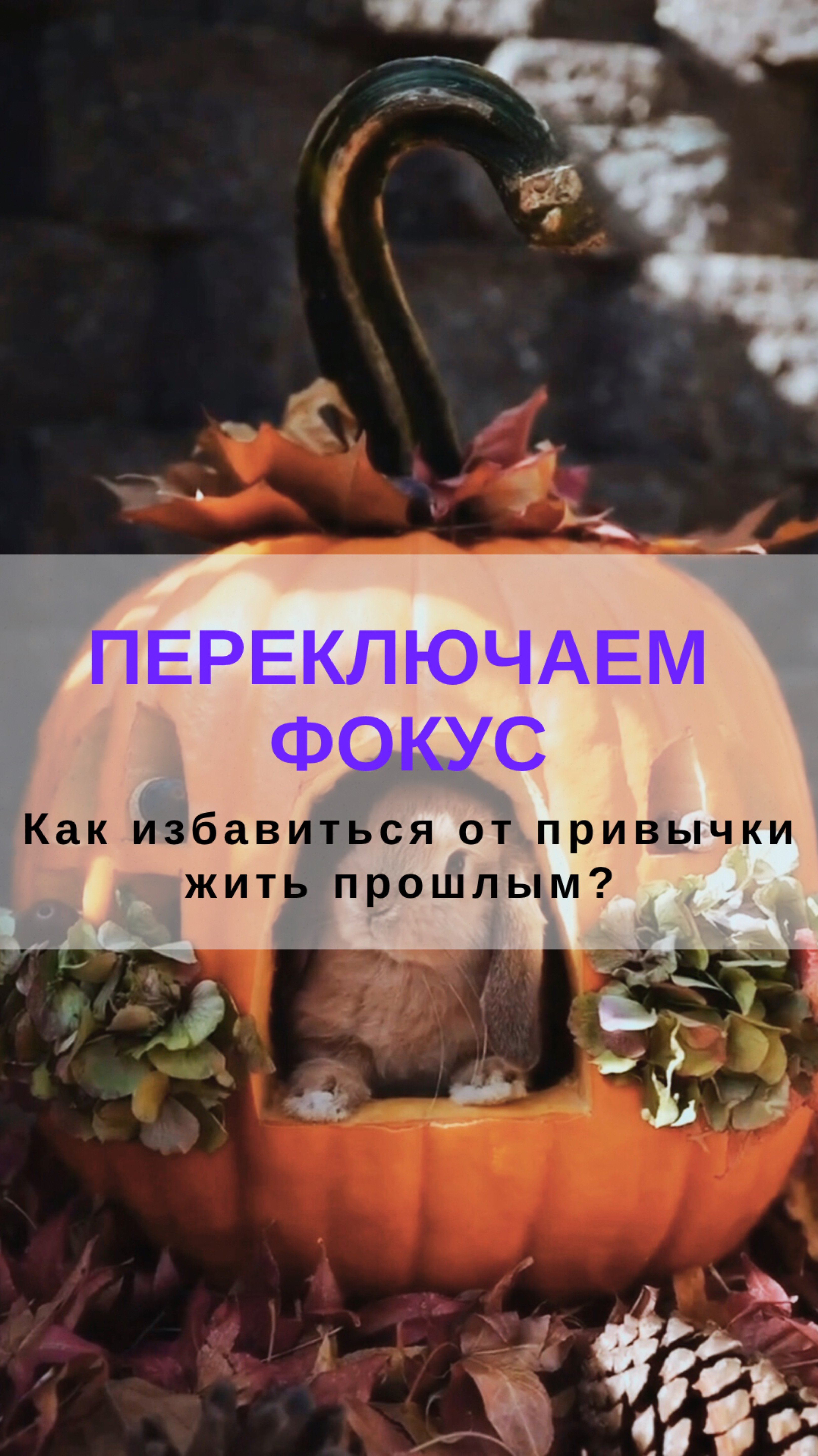 Как избавиться от привычки жить прошлым? Переключаем фокус