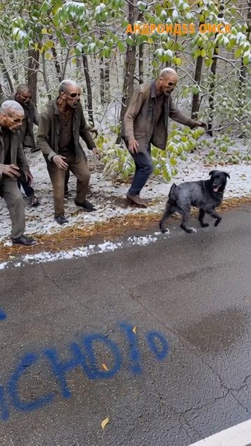 ОМСК - это ЗАБАВНО! Зомби в Омске