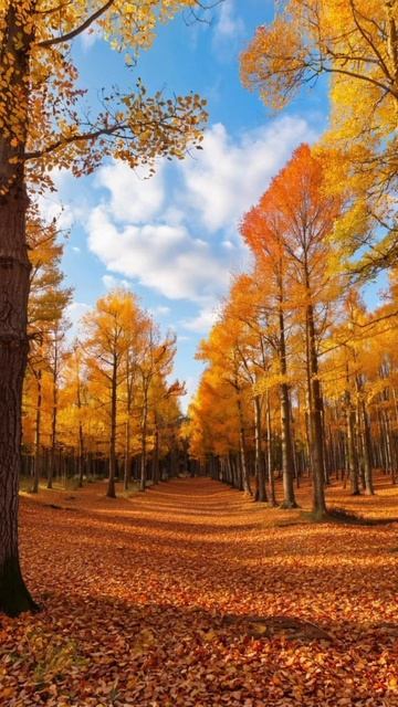 Осень 🍁 #нейро