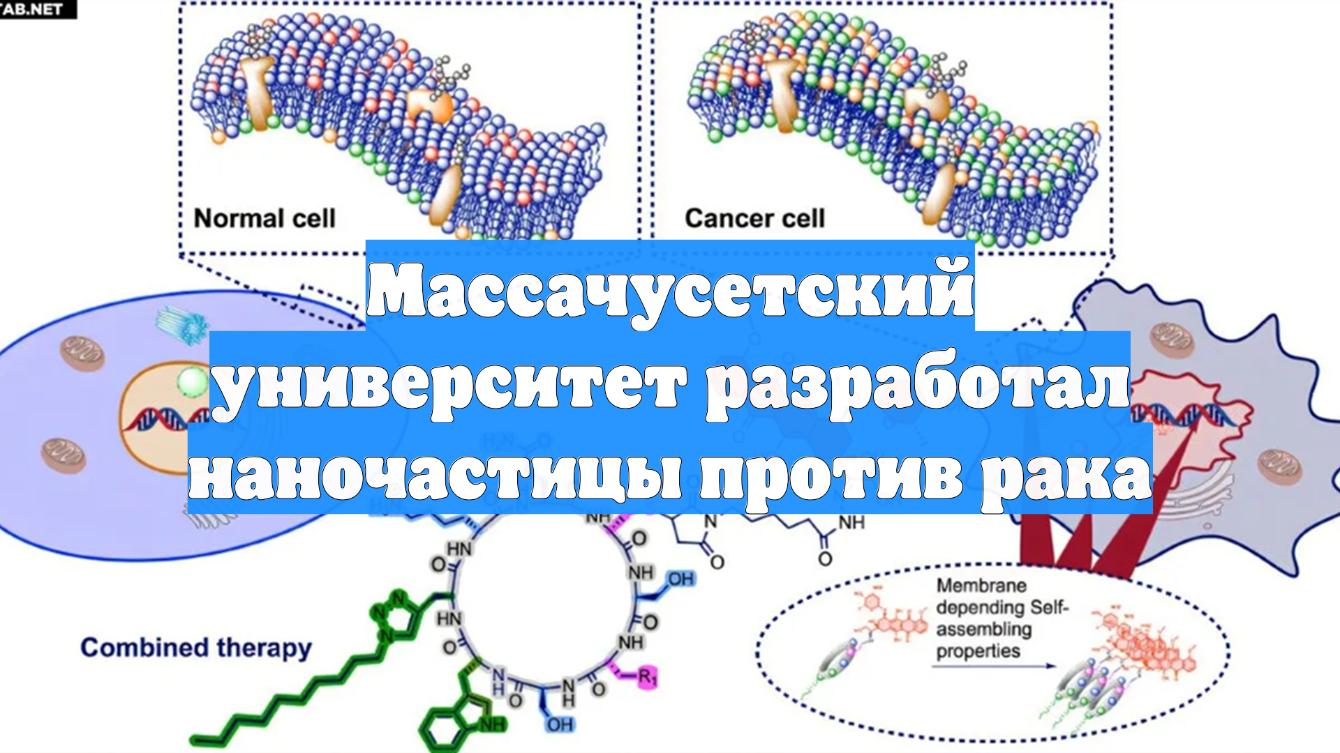 Массачусетский университет разработал наночастицы против рака