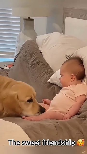 Лучшие друзья 🥰