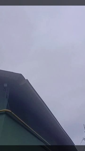 Харьков 10 10 25_ К вечеру Гераньки собираются в стаи