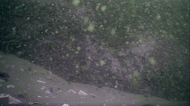 1000001239.mp4Волга гл.5м.10.10.2025г.